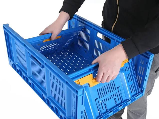 فرصت سرمایه گذاری تولید جعبه میوه و سبزیجات تاشو